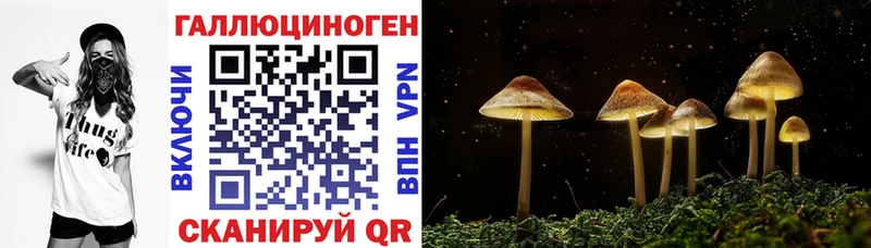 Галлюциногенные грибы GOLDEN TEACHER  нарко площадка телеграм  Семилуки  наркотики 